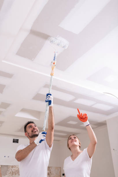 Best Environmental Consulting for Mold Prevention  in Chesterton, IN