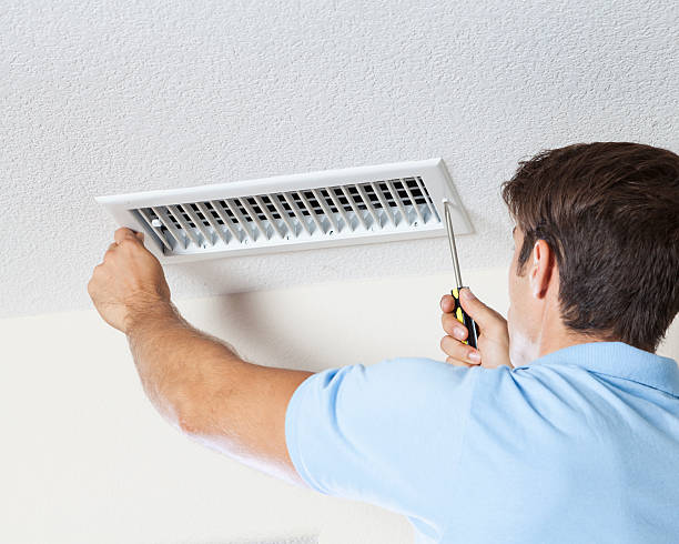 Best Air Quality Testing for Mold Spores  in Chesterton, IN