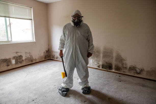 Best Crawl Space Mold Remediation  in Chesterton, IN