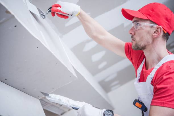 Best Comprehensive Air Testing for Mold Contaminants  in Chesterton, IN